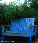 Relaxed here with a&nbsp;Feijoa