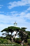 Tiritiri Light House